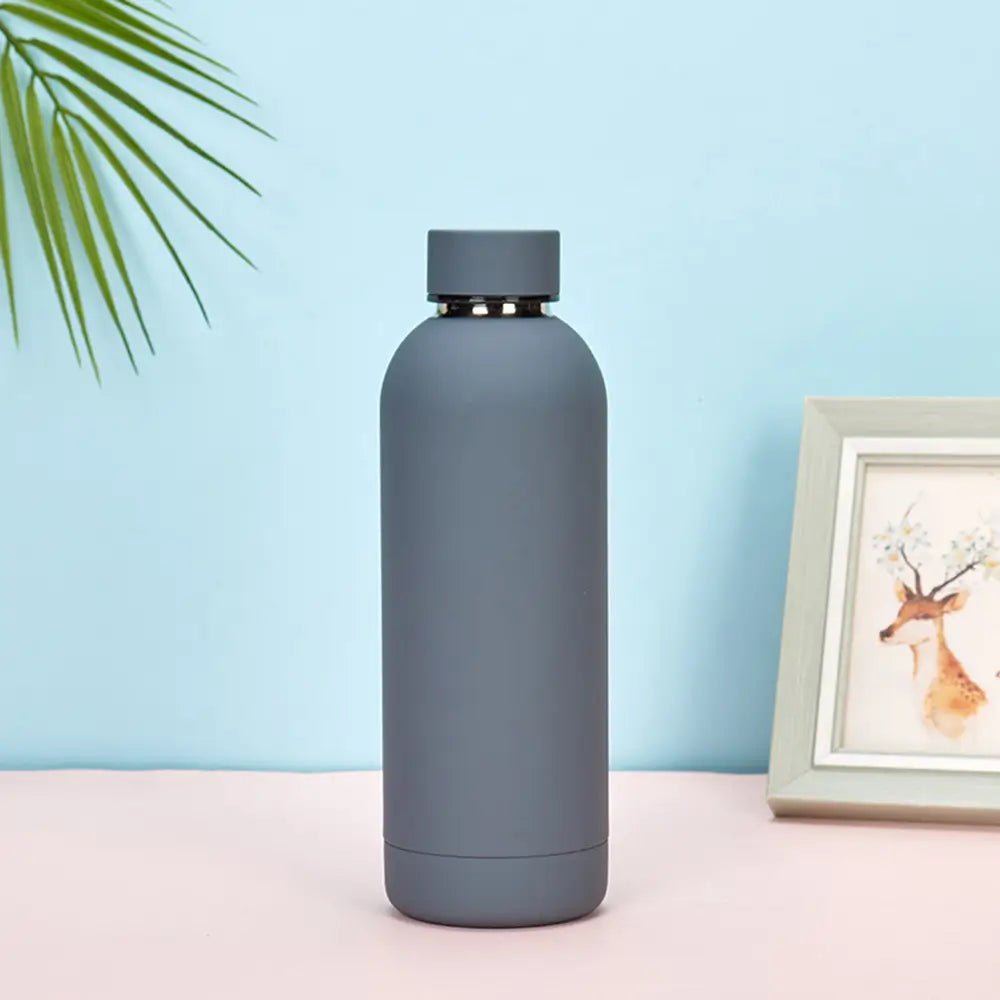 Gray water bottle on a pink surface with a light blue background and a framed picture of a deer.