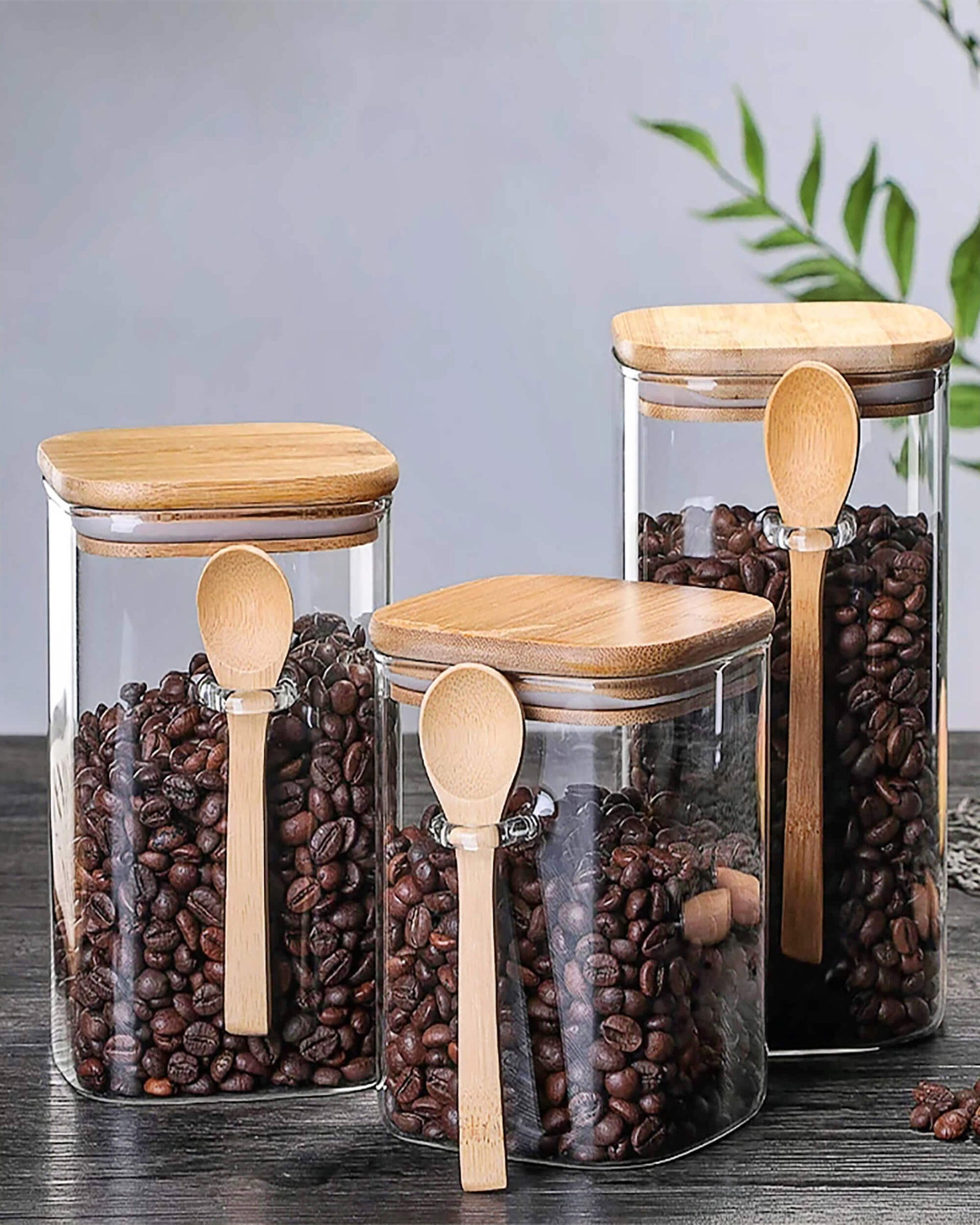 A stylish countertop organizer kitchen set featuring three glass storage jars filled with coffee beans, each with a bamboo lid and matching wooden spoon, placed on a dark wooden surface with a plant in the background.