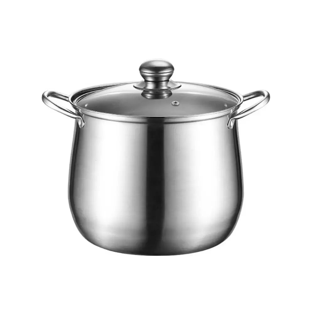 Stainless steel stockpot with lid on a white background.