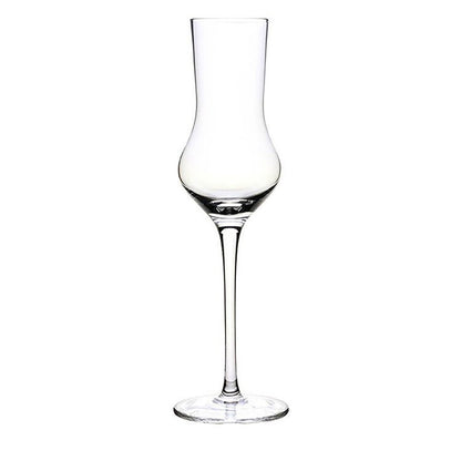 tulip flute glasses