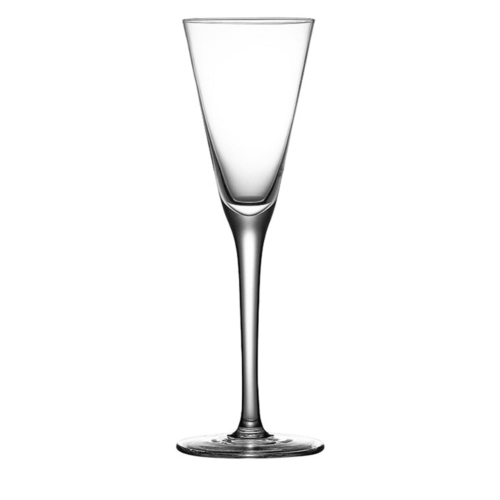 champagne flutes set of 2